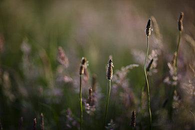 虚幻5重制《英雄无敌3》人族城堡 画面太唯美了